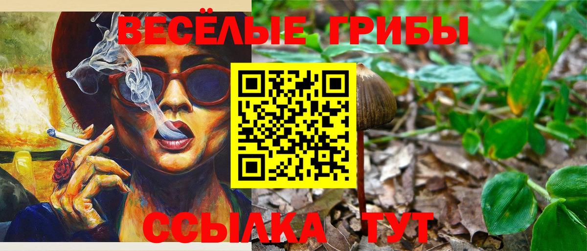 Псилоцибиновые грибы ЛСД  Вход с VPN  Галлюциногенные грибы Psilocybe  Вышний Волочёк 
