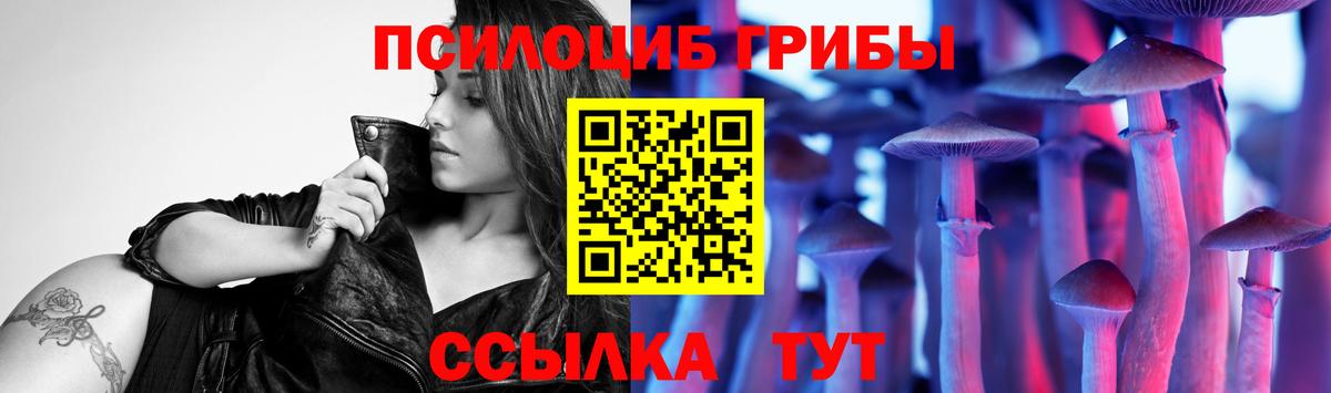 Псилоцибиновые грибы мицелий Вышний Волочёк